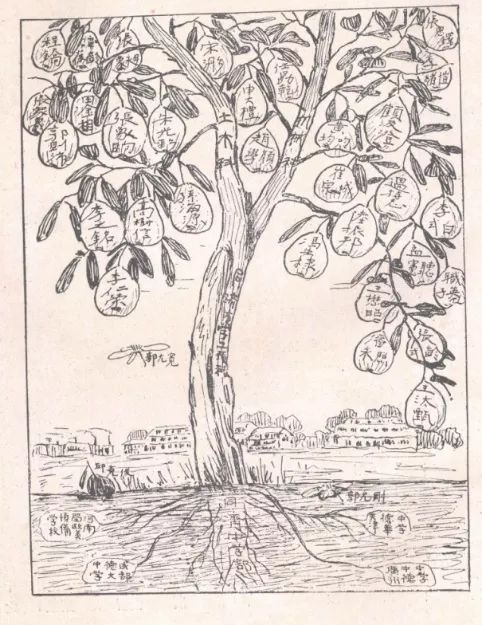 31-1923年工科毕业生手绘树状结构图